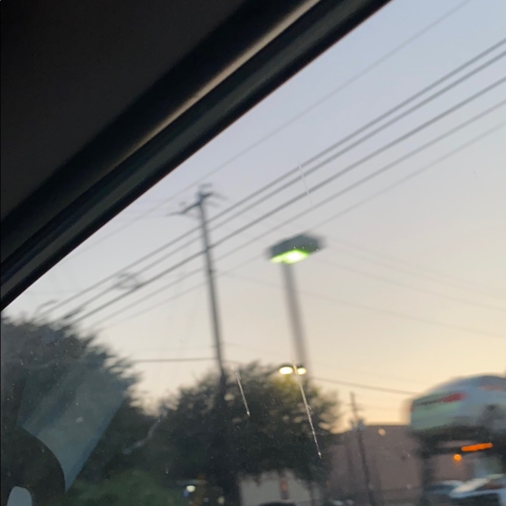 Meet your Posher, Bella